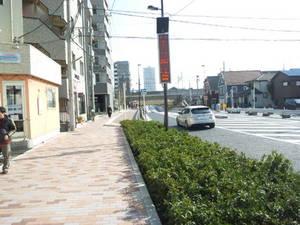 120401_145423 337gou.jpg